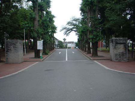 熊工