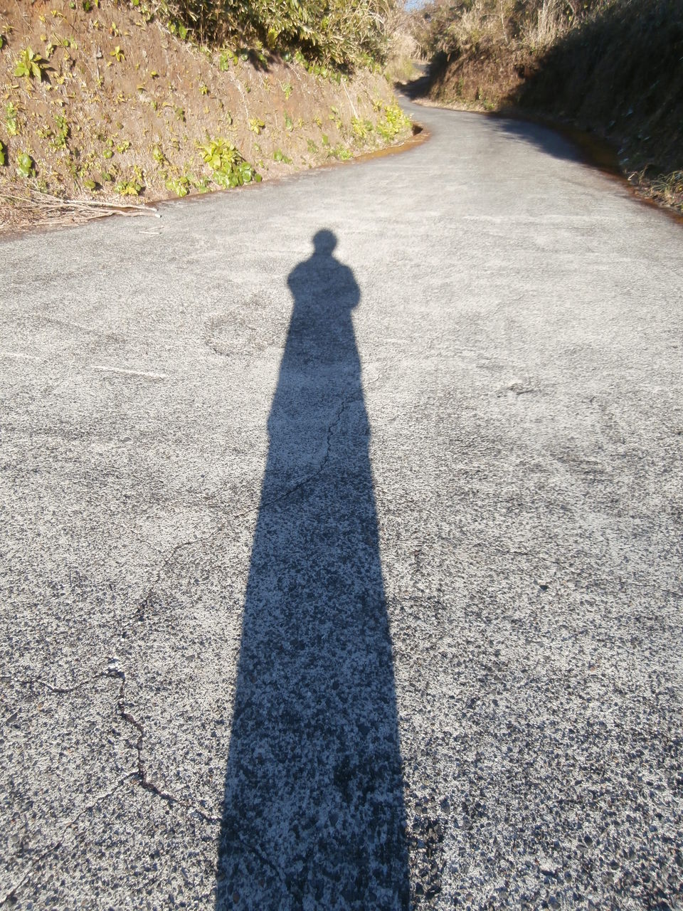 私の長い影法師 三原の息吹 私の長い影法師 三原の息吹