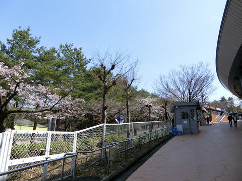 CIMG9319