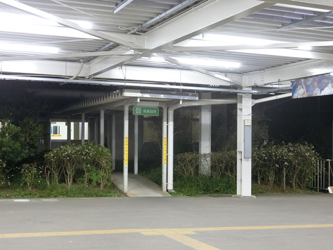 CIMG3182