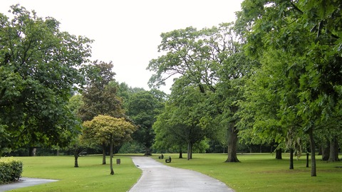 イギリス グローサップ 公園 (3)