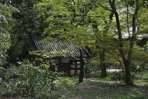 岩手県 平泉 中尊寺 (8)