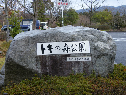 日本 新潟 佐渡 トキの森公園 (1)