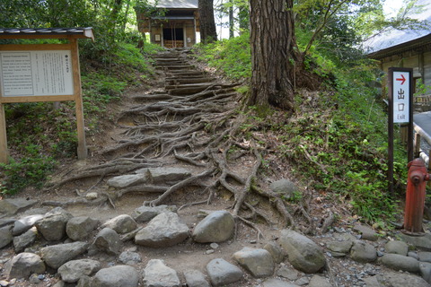 岩手県 中尊寺内 様子 (4)