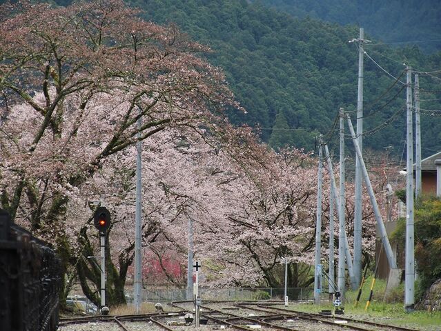 ３　大井川　その2　川根両国駅にて　