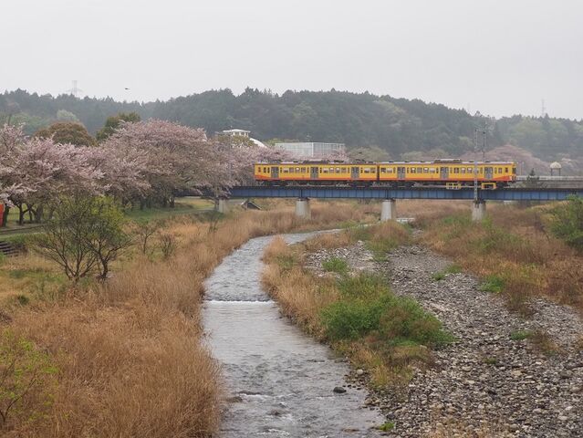 6 三岐色 大安~三里間 その1