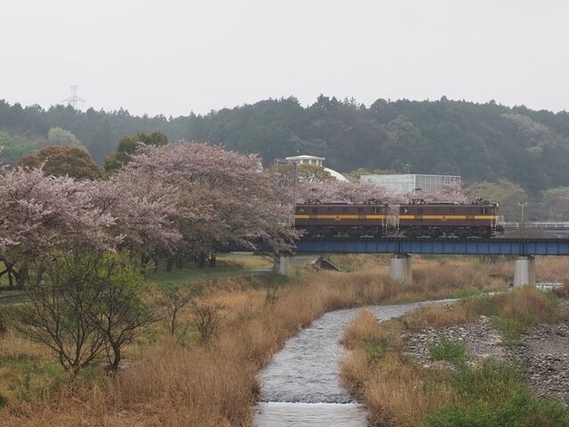 6 ED5081+5082 大安~三里間 その1