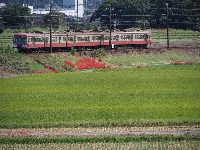 ５　西武色赤電　三岐鉄道　三里～丹生川間　その4