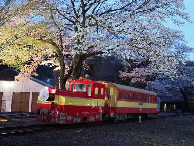 7  DB8　川根両国駅にて　その3