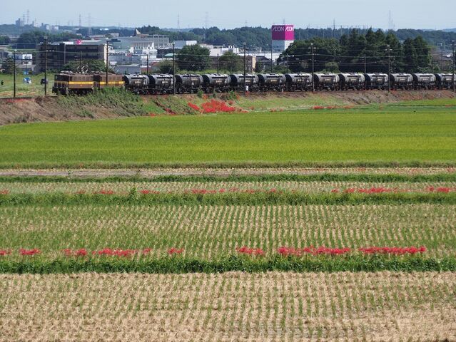 5　ED457+452　三岐鉄道　三里～丹生川間　その2