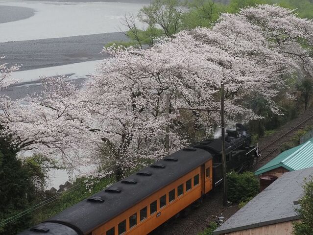 5　大井川　その4   1005ﾚ　大和田～福用間　