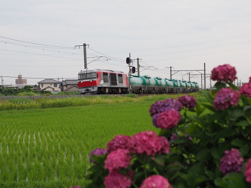 3　DF200-220　白鳥信号所にて　その1