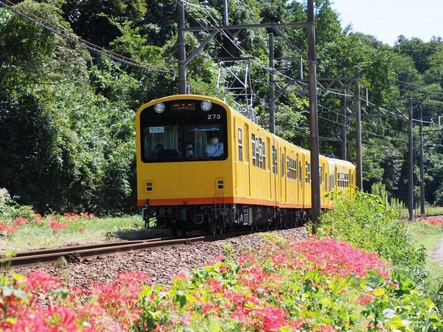 4　普通電車　三岐鉄道北勢線　楚原～ 麻生田間　その11