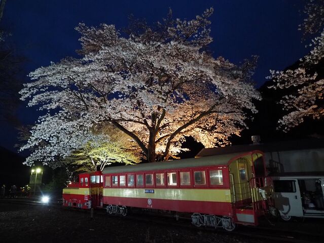 7  DB8　川根両国駅にて　その6