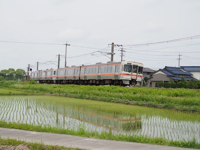 5 キハ25回送 白鳥信号所にて その3