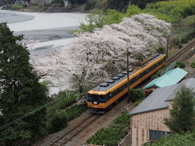 ４　大井川　その23   準急近鉄車　大和田～福用間　