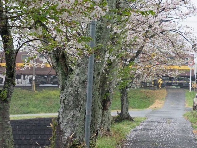 7 ED458+457 保々~北勢中央公園口間 その3