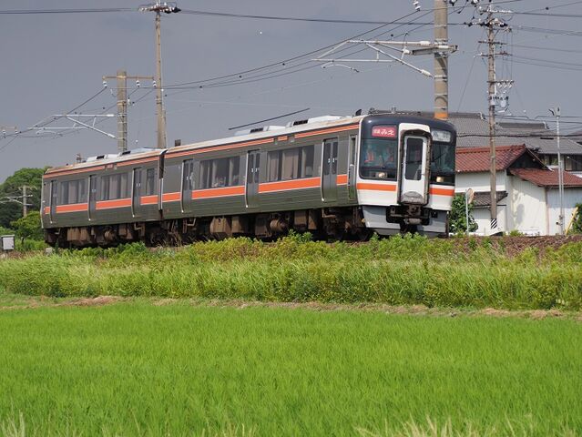 11　関西線　白鳥信号所にて　キハ75の快速みえ　その11