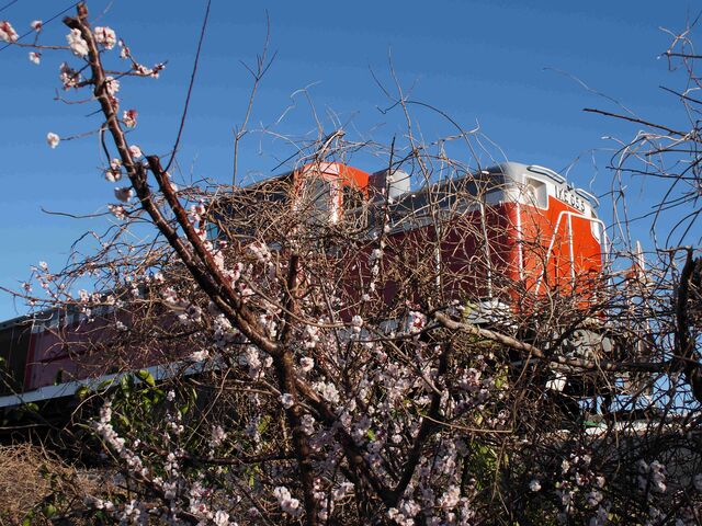 衣浦臨海鉄道 2025.3.17 : 半田の吉田のblog
