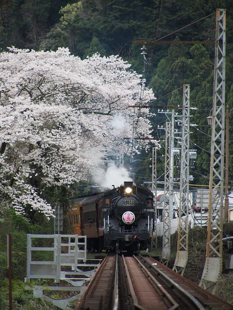 ４　大井川　その6  101ﾚ　家山にて　