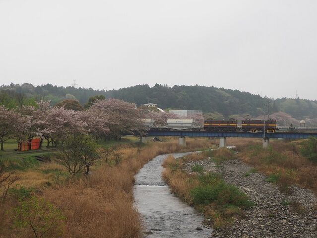 6 ED5081+5082 大安~三里間 その2