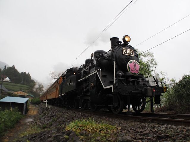 5　大井川　その8  1006ﾚ　大和田～福用間　