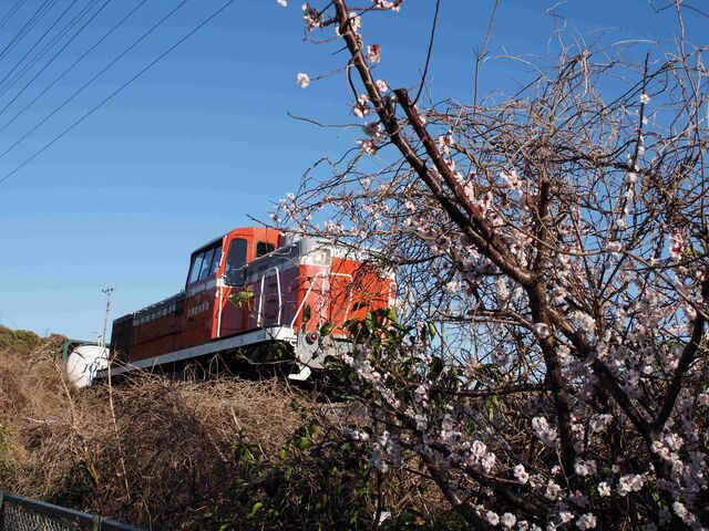 衣浦臨海鉄道 2025.3.17 : 半田の吉田のblog