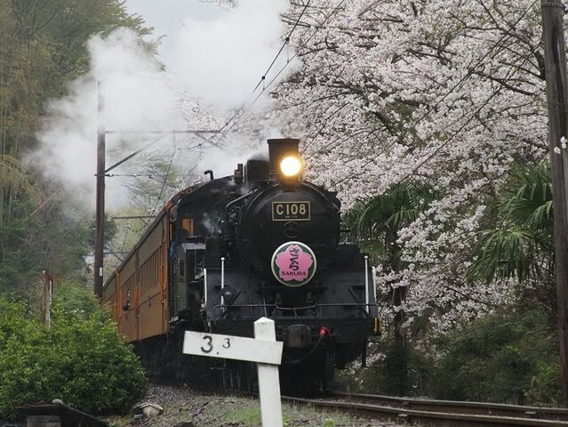 5　大井川　その6   1006ﾚ　大和田～福用間　