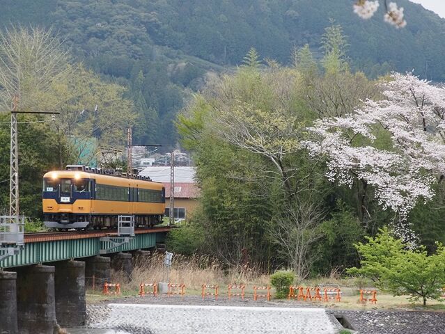 ４　大井川　その24   準急近鉄車　家山橋梁　