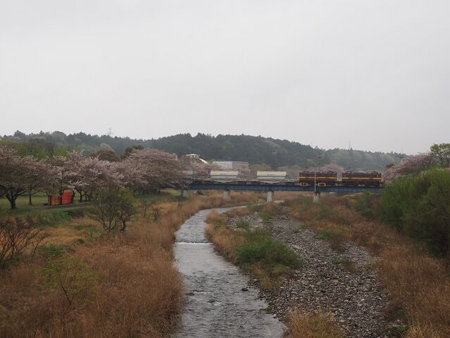 6 ED5081+5082 大安~三里間 その3