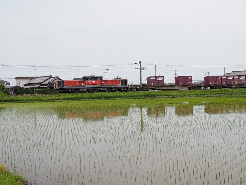 8 DD51-1801 コンテナ列車 白鳥信号所にて その2