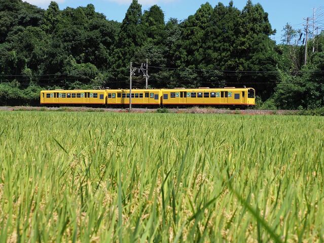 4　普通電車　三岐鉄道北勢線　楚原～ 麻生田間　その2