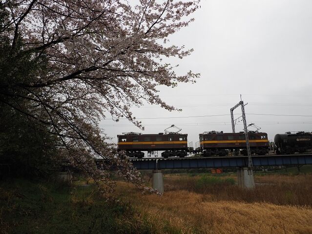 2　宇賀川橋梁　ED457+458　大安～三里間　その3　