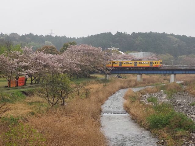 6 三岐色 大安~三里間 その2