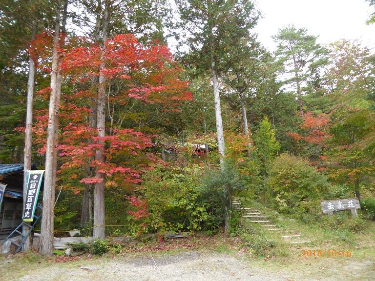 赤沢自然休養林の赤沢森林鉄道 18 10 16 その5 半田の吉田のblog 赤沢自然休養林の赤沢森林鉄道 18 10 16 その5 半田の吉田のblog