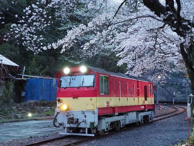 ６  DD206　川根両国駅にて　その1