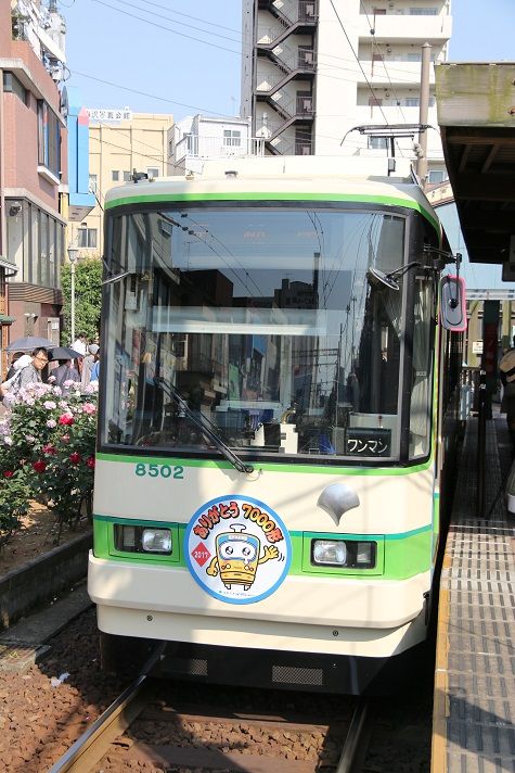 イメージ 8