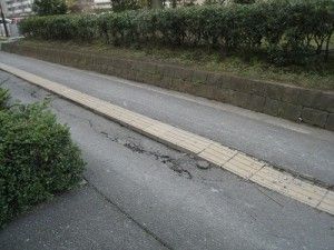 「沈んでる」IMG_8943
