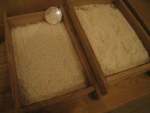 IMG_9667