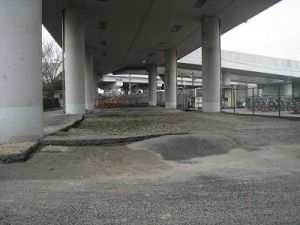 IMG_8974「うそでしょ」