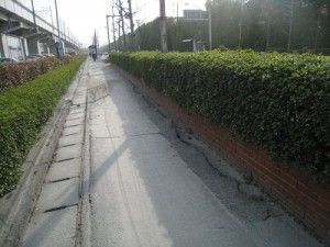 IMG_8952「コンクリートが砂利に」