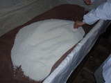 P3050010