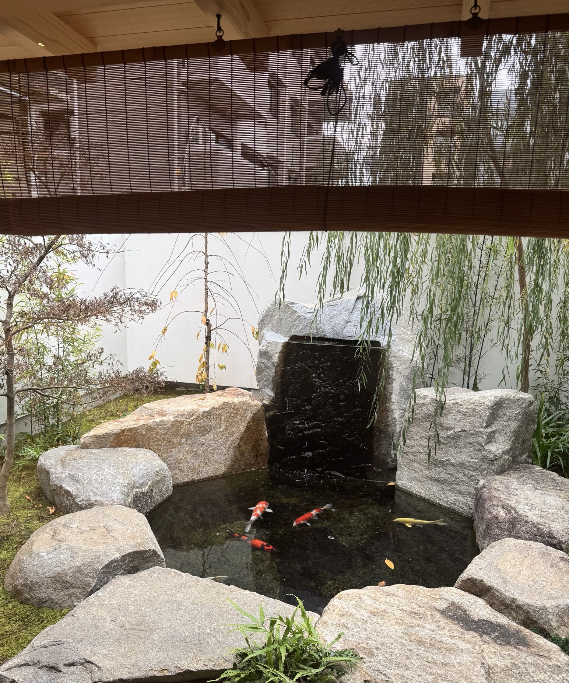茶寮哲心 : 酒とアマモノの日々
