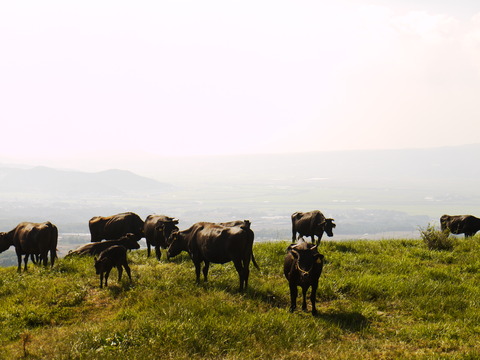 P1000781