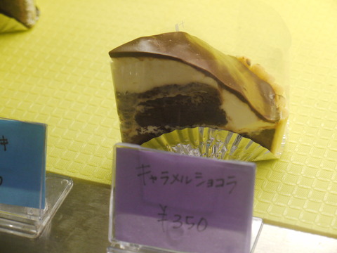 P1060305