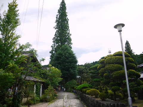 P1150109
