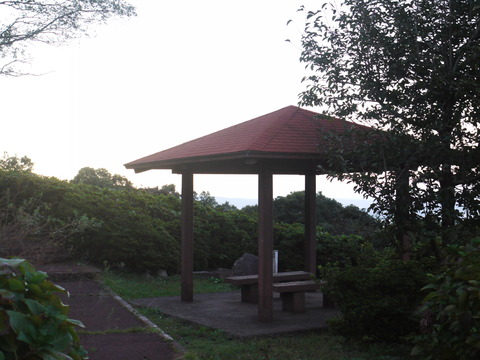 P1040571
