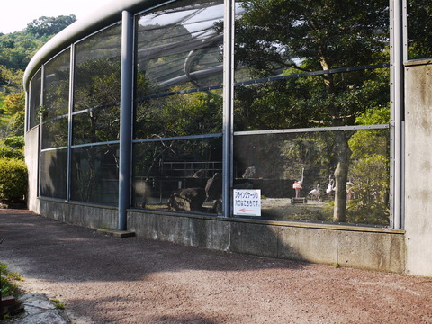 P1020597