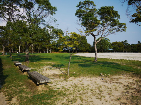 P1020645