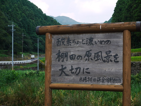 P1020481
